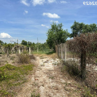 Bán Đất Biển Lagi 519M2 Đất Thổ Cư Tân Tiến, Thị Xã Lagi Gần Biển Giá Đầu Tư