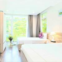 Bán biệt thự Flamingo Đại Lải, view hồ, 4PN, sổ lâu dài