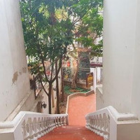 Bán Nhà Mặt Phố Trích Sài, Bưởi, Tây Hồ, Hà Nội, 85 Tỷ, 215 M2, 12 Phòng Ngủ 12Wc