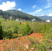 Đất Biệt Thự Khu Vạn Xuân Lạc Dương View Đẹp 290M2 Full Thổ Giá Bán 6,150 Tỷ Chỉ 21 Triệu/M2 Rẻ Nhất