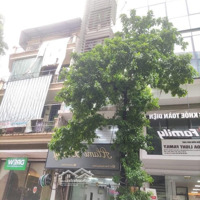 Chủ Nhà Gửi Bán Nhà Mặt Phố Trần Quang Diệu- Võ Văn Dũng:55M2,5 Tầng,Mt:4.5M.giá:33Tỷ