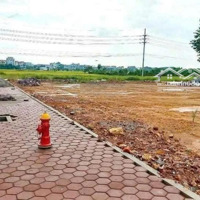 Cơ Hội Vàng Bán Lô Góc Đất Đấu Giá Thôn Tân An, Hiền Ninh Vị Trí Đẹp, Giá Tốt