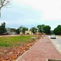 Cơ Hội Vàng Bán Lô Góc Đất Đấu Giá Thôn Tân An, Hiền Ninh Vị Trí Đẹp, Giá Tốt