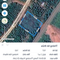 Bán Trang Trại, Đường Quốc Lộ 28, Xã Đinh Trang Thượng, Di Linh, Lâm Đồng, 1,65 Tỷ, 900M2