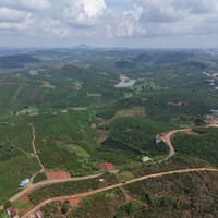 Bán Trang Trại, Đường Quốc Lộ 28, Xã Đinh Trang Thượng, Di Linh, Lâm Đồng, 1,65 Tỷ, 900M2