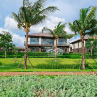 Công Bố Giỏ Hàng 5/2025 Kđt Waterpoint (Chỉ Từ 6Tỷ/Căn - Nhận Nhà Ngay) Tt 30 Tháng 0% Lãi Suất