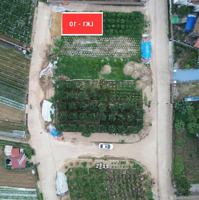 Lô Góc Tuyệt Đẹp Giá Chỉ Nhỉnh 40 Triệu
Đấu Giá Hoàng Trạch, Mễ Sở, Văn Giang, Hưng Yên Gần Vành Đai 4