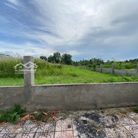 Bán Gấp Lô Đất Đ. Trần Minh Sơn, An Khánh, Ninh Kiều, Cần Thơ Gần Bv Đhyd, 600 Triệu/120M2, Shr