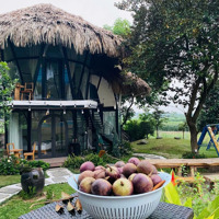 Bán Trang Trại, Khu Nghỉ Dưỡng View Đẹp Tại Xã Vân Hòa, Ba Vì, Hà Nội, 25 Tỷ, 2120 M2