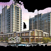 Chuyên Cho Thuê Cc Cardinal Court, 52 Triệu, 174M2, Tân Phú, Q7, Hcm Liên Hệ:0932747475