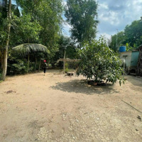 Cần Bán Lô Đất Có Nhà Vườn Siêu Đẹp, Đường Ô Tô Ở Phú Đông