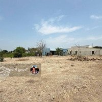 Bán Đất Rẻ Đẹp Tại Tam Thôn Hiệp, Giá Bán 980 Triệu, 120 M2, Cần Giờ, Hcm, Có Sổ Hồng Riêng