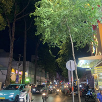 Bán Nhà Trung Tâm Quận 1, Mặt Đường Trần Khắc Chân 62M2 X 6M Mt, Kinh Doanh, Sổ Đẹp, Chỉ 27 Tỷ