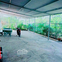 Cần Tiền Về Quê Nên Bán Gấp Nhà Xã Bình Hòa 1 Xẹc Cách Ngã 3 Cây Dương ( Đườngdiện Tích768 ) Chỉ 500M