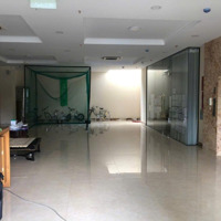 Siêu Vị Trí! Bán Nhà Mặt Tiền Ngay Cộng Hòa Lối Vào Sân Bay - 8X30M, Hầm 6 Tầng, Hđt 250 Triệu - 50 Tỷ