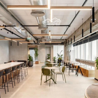Mặt Phố Vũ Tông Phan Chỉ 180 Triệu/M2, 1.200M2, Mặt Tiền 12M, 200 Tỷ, Xây Toà Văn Phòng Thì Quá Tuyệt V