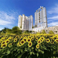 Văn Lang Sky Lake. Đẳng Cấp Sống Cho Dân Cư Víp