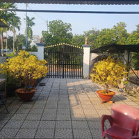 Bán Nhà Riêng 3 Phòng Ngủ+ 3 Vệ Sinh 290M2, 4,2 Tỷ Tại An Thạnh, Thuận An, Bình Dương