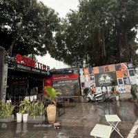 Bán Gấp Nhà Mặt Phố Trích Sài, Tây Hồ 186M²,Mặt Tiền8M, 4 Tầng, View Hồ Tây, Chỉ 94Tỷ, Sổ Đỏ Chính Chủ
