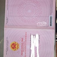 Chính Chủ Cần Bán Đất Tại Bình Châu, Xuyên Mộc, Bà Rịa Vũng Tàu.