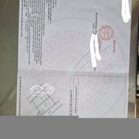 Chính Chủ Cần Bán Đất Tại Bình Châu, Xuyên Mộc, Bà Rịa Vũng Tàu.