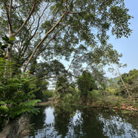 Hàng Hiếm Tại Minh Phú, Sóc Sơn, Hà Nội, 18,5 Tỷ, 900M2 Trang Trại, Khu Nghỉ Dưỡng