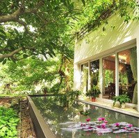 Tháng 5.2025 Cho Thuê Biệt Thự Để Ở & Kinh Doanh Giá Tốt Cam Kết Không Chênh Lệch, Liên Hệ: 094 101 5995