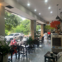Tt Cầugiay Mặt Phố- Lô Góc 3 Mặt Thoáng - Mặt Tiền Khủng- Kinh Doanh Bất Phàm - Doanh Thu Tiềm Năng