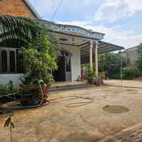 Cần Bán Nhà Đất Mặt Đường Xà Bang Láng Lớn 22X114 , Sẵn Nhà Đẹp , Vườn Trái Cây