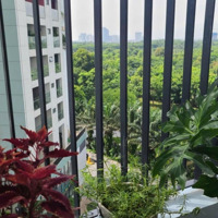Bán Gấp Căn Hộ 49M2 Thiết Kế 1+ Giá Siêu Tốt