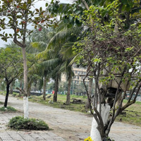 Bán Đất Mặt Tiền Nguyễn Đình Tựu Ngay Chợ Hoa- Gọi Đàm Tiến