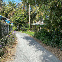 Chính Chủ Cần Bán Miếng Đất 551M Có Sẵn Nhà Và 200M Thổ Cư Ở Xã Đức Mỹ