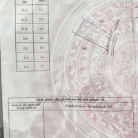 Chính Chủ Cần Bán Miếng Đất 551M Có Sẵn Nhà Và 200M Thổ Cư Ở Xã Đức Mỹ