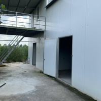 Cho Thuê Nhà Kho Mới 200M2 Bằng Tấm Panel, Mặt Tiền Tỉnh Lộ 827D, Cách Thị Trấn Tầm Vu 1,5 Km.!