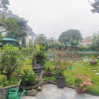 Bán Khu Nghỉ Dưỡng - Đông Tảo Pháp Lý Rõ Ràng, Ở Ngaydiện Tích1223M2, 20Tỷ.
Full Tiện Ích Vườn, Ao .....