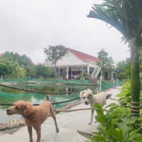 Bán Khu Nghỉ Dưỡng - Đông Tảo Pháp Lý Rõ Ràng, Ở Ngaydiện Tích1223M2, 20Tỷ.
Full Tiện Ích Vườn, Ao .....