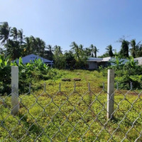 Chính Chủ Cho Thuê Đất Trống Làm Kho, Bãi, Xưởng, Quán Ăn Giá Bán 29 Triệu, 1420 M2,Mặt Tiền36 X 40M.