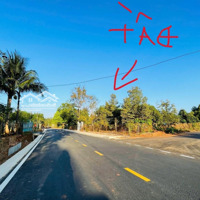 Bán Sào Đất Sát Ql13 (1.323M2) Sẵn 100Tc Shr Ngay Quốc Lộ 13 Trung Tâm Thị Xã Bình Long Đúng 520 Triệu