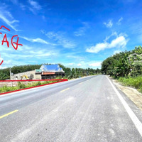 Bán 2 Sào Đất (29X61=2330M2) Sẵn 200M Thổ Cư Minh Hưng Chơn Thành Cặp Khu Công Nghiệp Đúng 890 Triệu