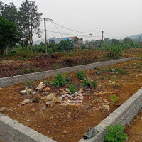 Bán 1 Lô Đất Chia Lô Liền Kề Đằng Sau Đại Học Lâm Nghiệp Xuân Mai.