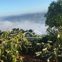 Siêu Đẹp_Siêu Thơm_Mừng Lễ 30/4-1/5