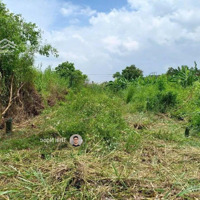 Sở Hữu Ngay Lô Đất Trần Kiết Tường Gần Trạm Y Tế Phường Thới An, Ô Môn, Cần Thơ. 120M2/1,5 Tỷ