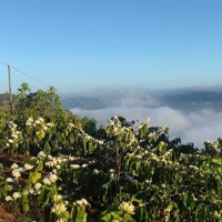 Giảm Mạnh Lô Đất Đúng Phong Thủy, View Sông, Săn Mây