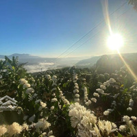 Giảm Mạnh Lô Đất Đúng Phong Thủy, View Sông, Săn Mây