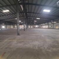 Cho Thuê Xưởng Thuận An BD. Dt: 6500m Giá: 350tr pccc Thẩm Duyệt