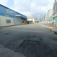 Cho Thuê Xưởng Thuận An Bd. Diện Tích: 6500M Giá: 350 Triệu Pccc Thẩm Duyệt