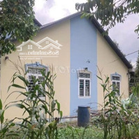 Bán Đất Nhà Vườn 3000M2 Cầu Ông Mổng, Thuận Hưng,Thuận Hưng, Thốt Nốt