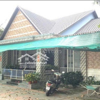 Bán Đất Nhà Vườn 3000M2 Cầu Ông Mổng, Thuận Hưng,Thuận Hưng, Thốt Nốt