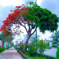 Bán Toạ Nhà Mặt Tiền Đường Đại Lộ Hoà Bình, Con Đường Chính Lớn Nhất Tp. Cần Thơ. Gần Bến Ninh Kiều