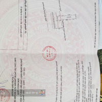 Bán Đất Nguyễn Công Trứ Đông Hòa Dĩ An